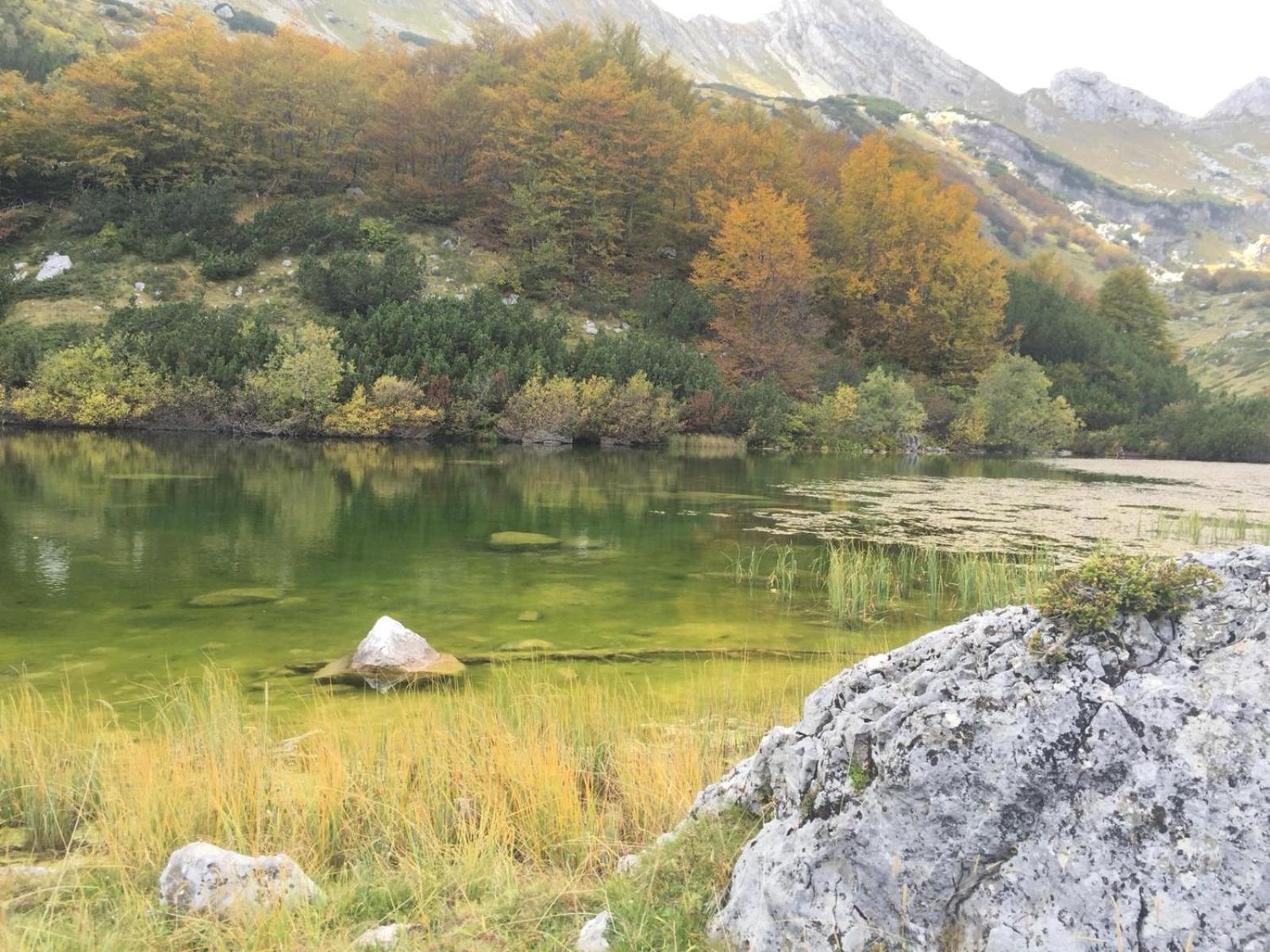 Chalet Kovacevic Žabljak Εξωτερικό φωτογραφία