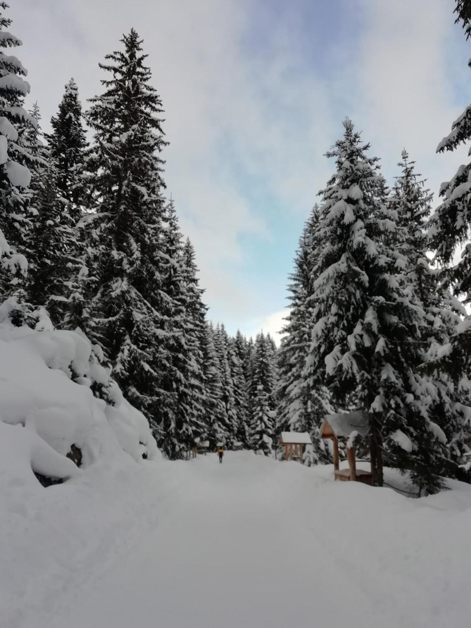 Chalet Kovacevic Žabljak Εξωτερικό φωτογραφία